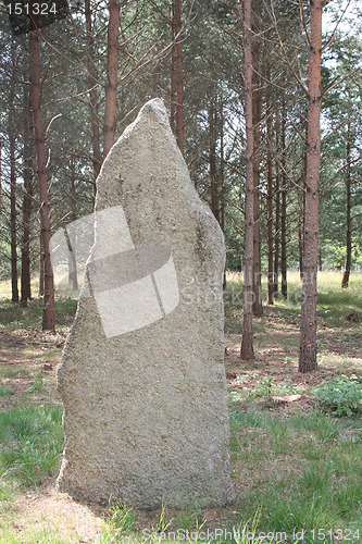 Image of Big old stone in forest