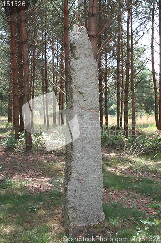 Image of Old stone in forest