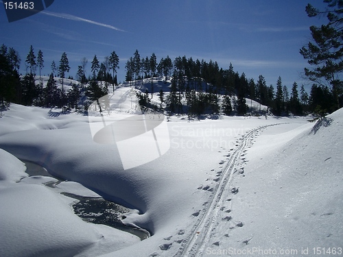 Image of Ski-track in winter landscape