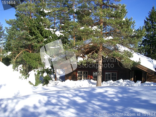 Image of House in deep snow