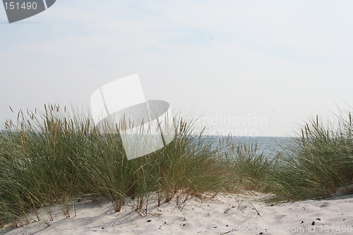 Image of Beach in Sweden