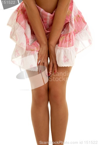 Image of pink skirt