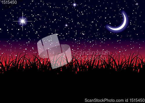 Image of Space landscape grass