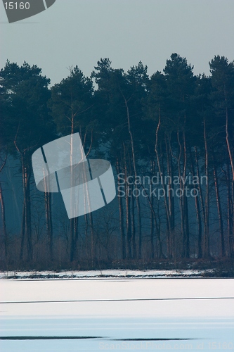 Image of Lake Haubach in the morning 1