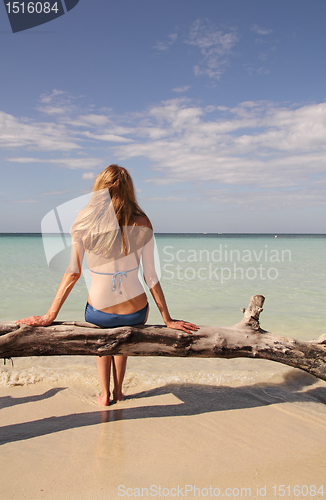 Image of bikini woman in paradise