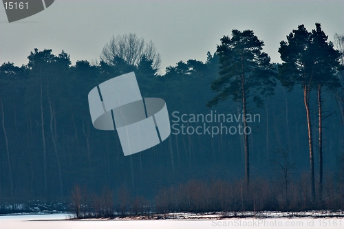 Image of Lake haubach in the morning 2