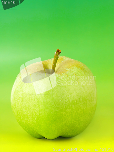 Image of Apple