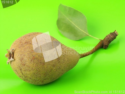 Image of Pear