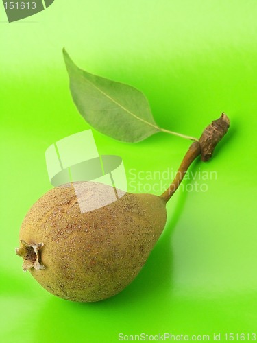 Image of Pear