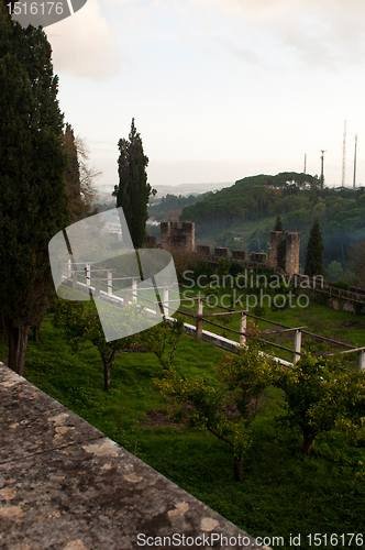 Image of Convent of Christ garden