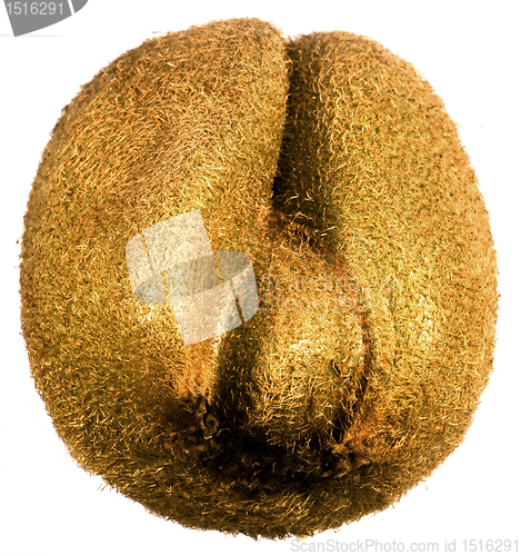 Image of kiwifruit