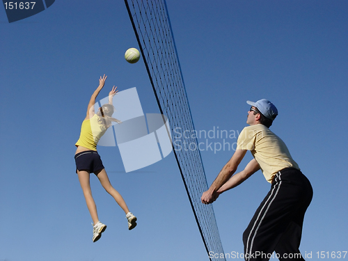 Image of Volleyball