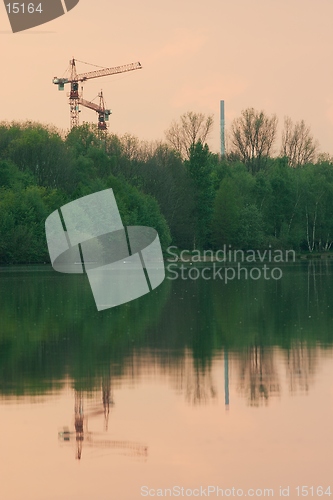 Image of Cranes in the evening