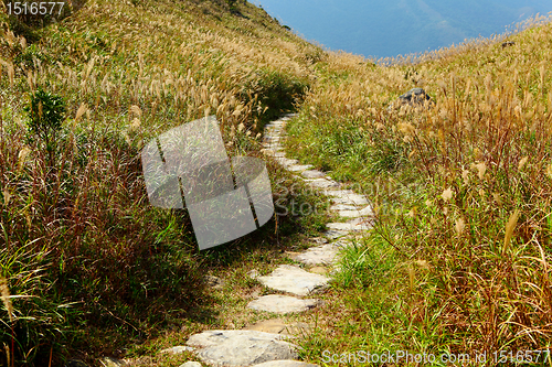 Image of mountain path for hiking