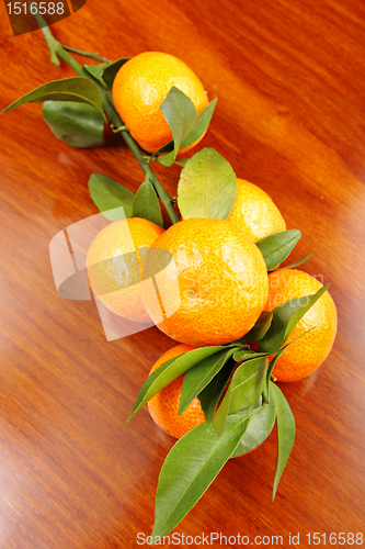 Image of mandarin on wooden background