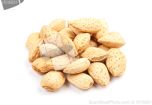 Image of almond nut