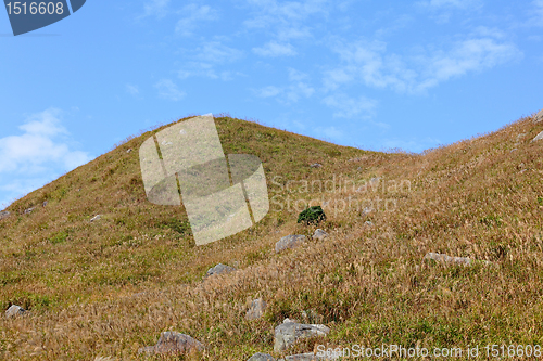 Image of landscape in the mountain