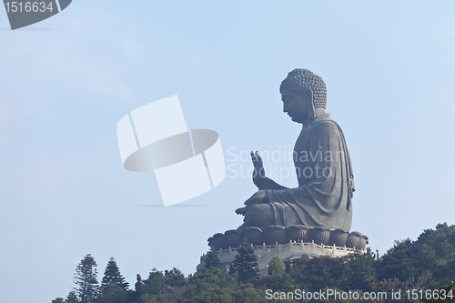 Image of tian tan giant buddha