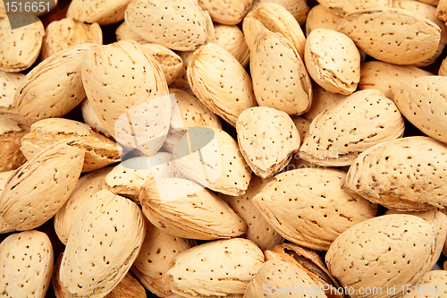 Image of almond nut