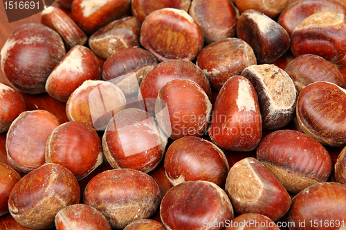 Image of chestnut