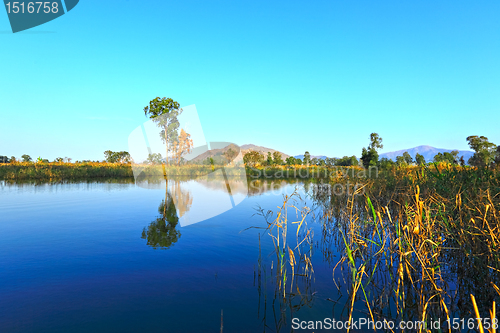 Image of wet land