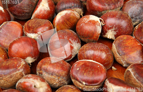 Image of chestnut