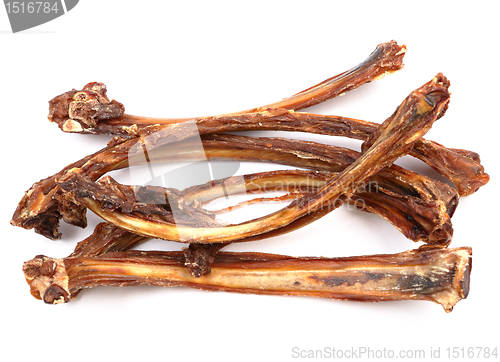 Image of dry rib on white background