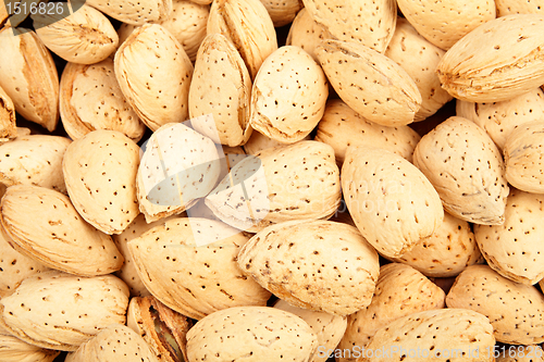 Image of almond