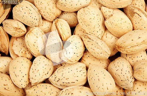 Image of almond