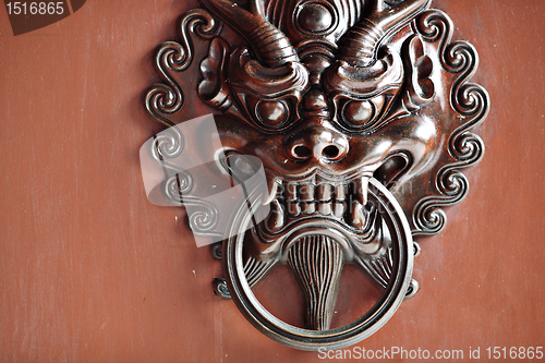 Image of lion door lock