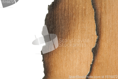 Image of Burned wooden paper