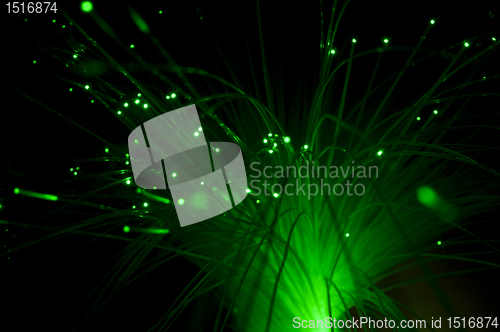 Image of Optical fibers of fiber optic cable.