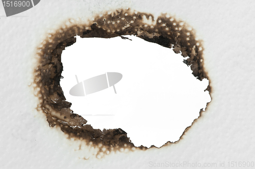 Image of Burned paper