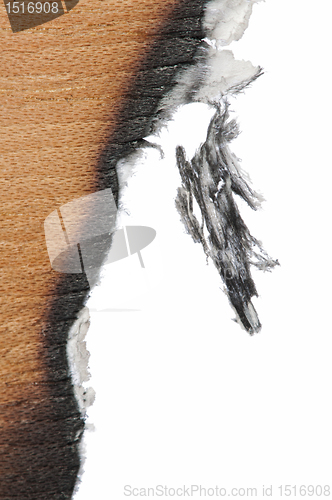 Image of Burned wooden paper