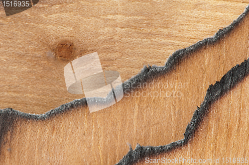 Image of Burned wooden paper