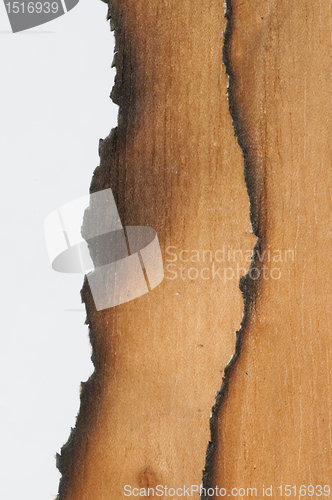 Image of Burned wooden paper