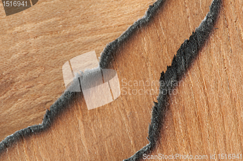 Image of Burned wooden paper