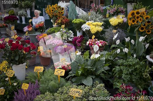 Image of Flowers for sale