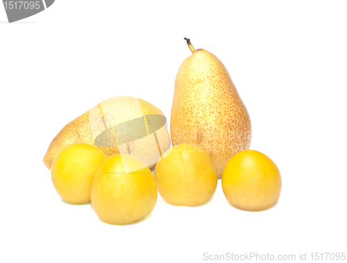 Image of Plums and pears.