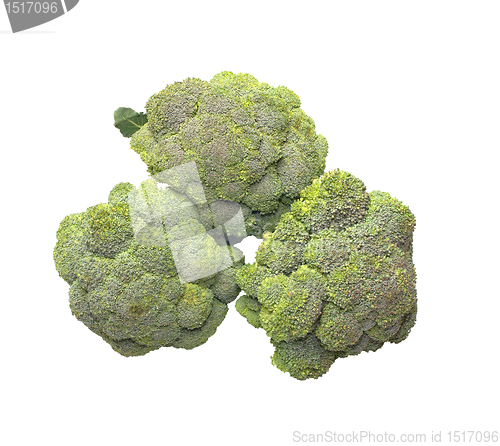 Image of Broccoli.