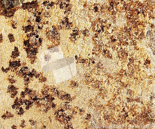 Image of Abstract rust background