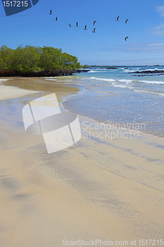 Image of Isabela landscape