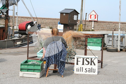 Image of Fishes for sale