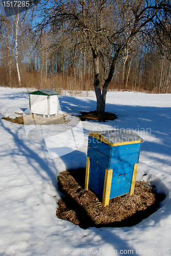 Image of Bee hives in spring. 