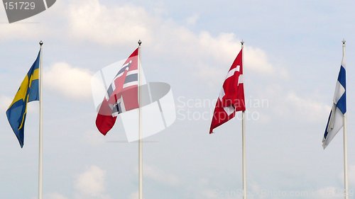 Image of Flags