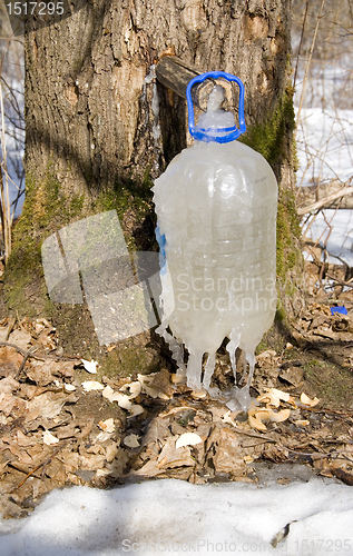 Image of Maple sap frozen 