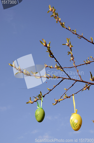 Image of Easter eggs on the tree.