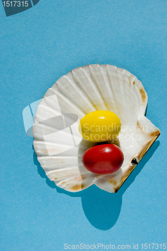 Image of Easter eggs on the sea shell