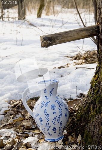 Image of Collecting birch sap to ceramic pither