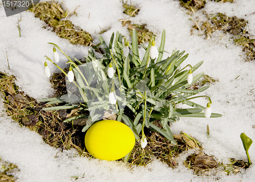 Image of Easter egg near snowflakes 